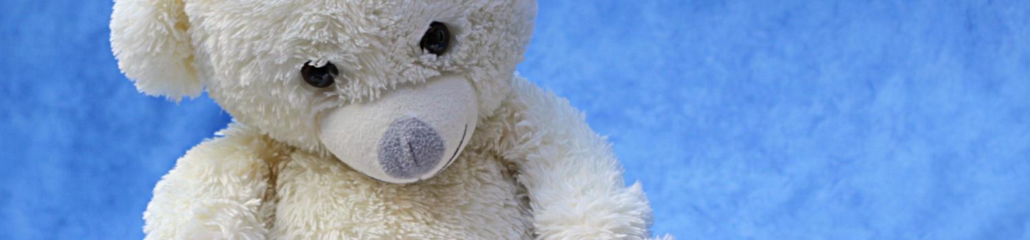 white teddy bear reading a book