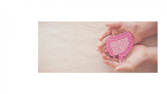 hands holding paper art of intestinal shape